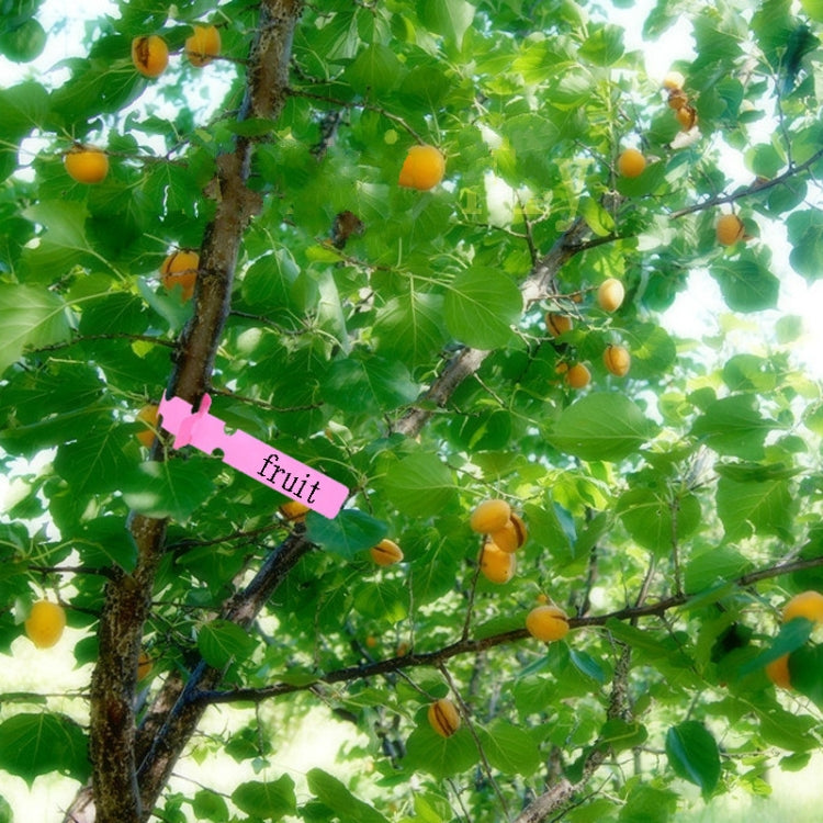100 PCS Gardening Plant Sapling Seed Hanging Tree Label(Blue) - Yard & Garden Decor by PMC TechLife | Online Shopping South Africa | PMC TechLife