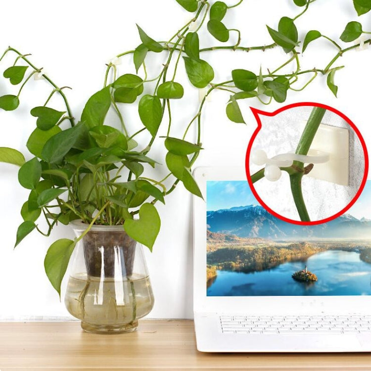 10 PCS Lulu Climbing Wall Fixer Vine Climbing Wall Sticking Hook, Size:Small(White) - free shipping - PMC TechLife - Order now!