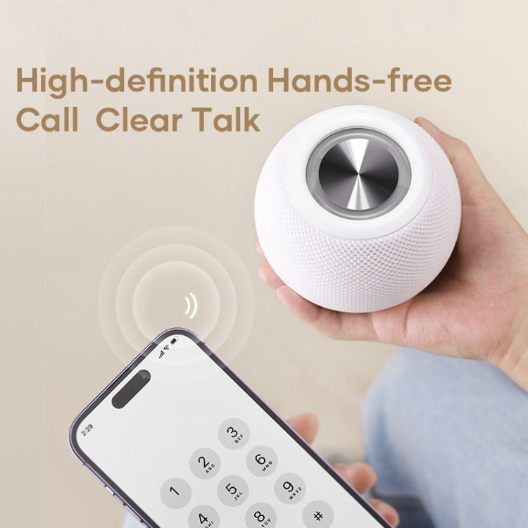 ROCK RAU0758 Portable Bluetooth Speaker(Black) - Desktop Speaker by ROCK | Online Shopping South Africa | PMC TechLife | Buy Now Pay Later Mobicred