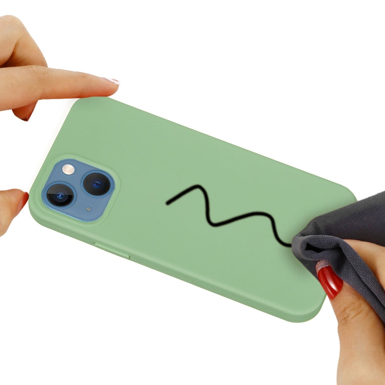 For iPhone 15 Plus Solid Color Silicone Phone Case(Mint Green) - iPhone 15 Plus Cases by PMC TechLife | Online Shopping South Africa | PMC TechLife