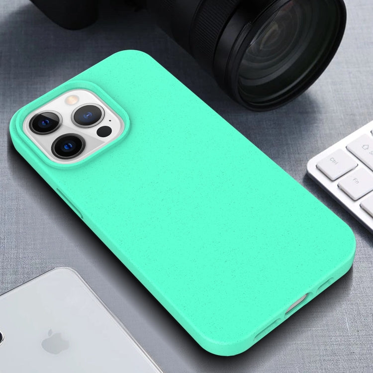 For iPhone 15 Pro Starry Series Shockproof Straw Material + TPU Protective Case(Blue) - free shipping - PMC TechLife - Order now!