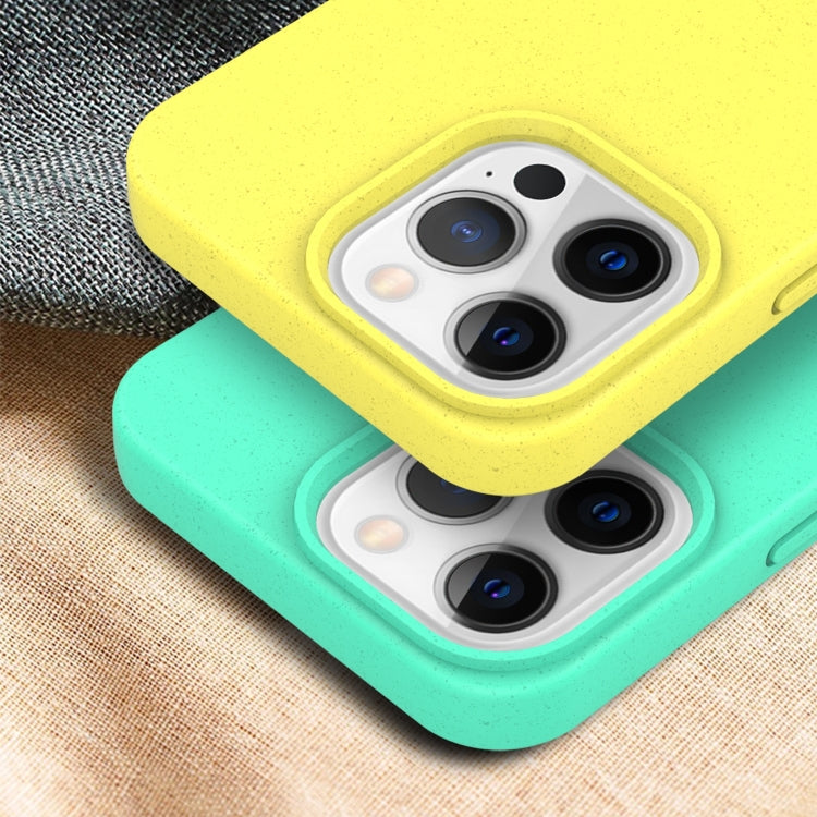 For iPhone 15 Pro Starry Series Shockproof Straw Material + TPU Protective Case(Blue) - free shipping - PMC TechLife - Order now!