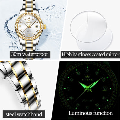 OLEVS 7003 Women Multifunctional Waterproof Mechanical Watch(Gold + White) - Metal Strap Watches by OLEVS | Online Shopping South Africa | PMC Jewellery | Buy Now Pay Later Mobicred