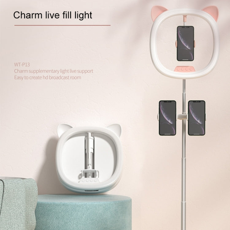 WK WT-P13 Charm Filling Light Live Holder Beauty Eye Care Filling Light (White) - Selfie Light by WK | Online Shopping South Africa | PMC Jewellery | Buy Now Pay Later Mobicred