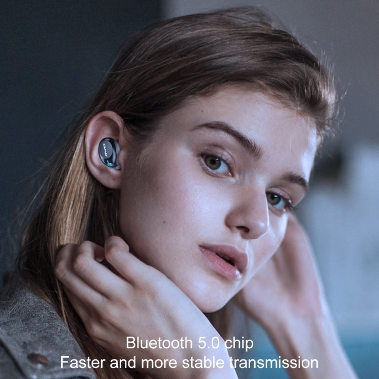 ipipoo T20 IPX4 Waterproof Bluetooth 5.0 Touch Wireless Bluetooth Earphone with Charging Box, Support Call & Siri (Black) - Bluetooth Earphone by ipipoo | Online Shopping South Africa | PMC Jewellery