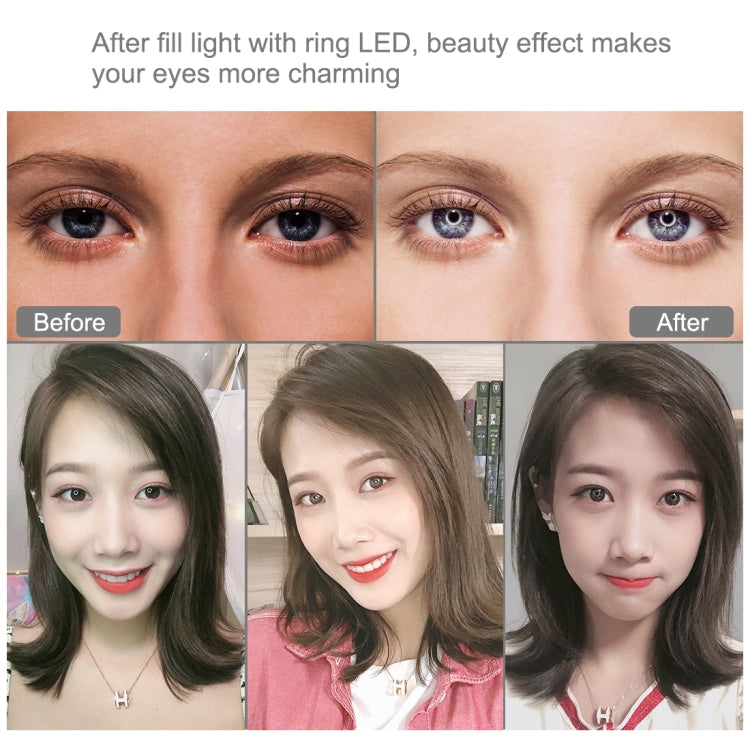 PULUZ 11.8 inch 30cm Light + 1.65m Tripod + Dual Phone Bracket Curved Surface USB 3 Modes Dimmable Dual Color Temperature LED Ring Vlogging Video Light  Live Broadcast Kits with Phone Clamp(Black) - free shipping - PMC TechLife - Order now!