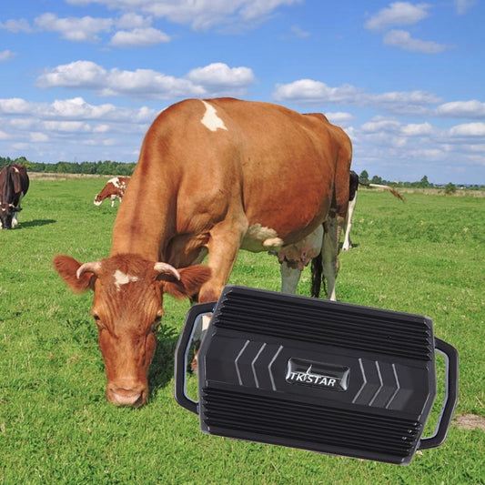 TKSTAR TK935 3000mAh GPS Pet Livestock Car Tracker IP65 Level Waterproof Locator(Black) - Personal Tracker by PMC Jewellery | Online Shopping South Africa | PMC Jewellery