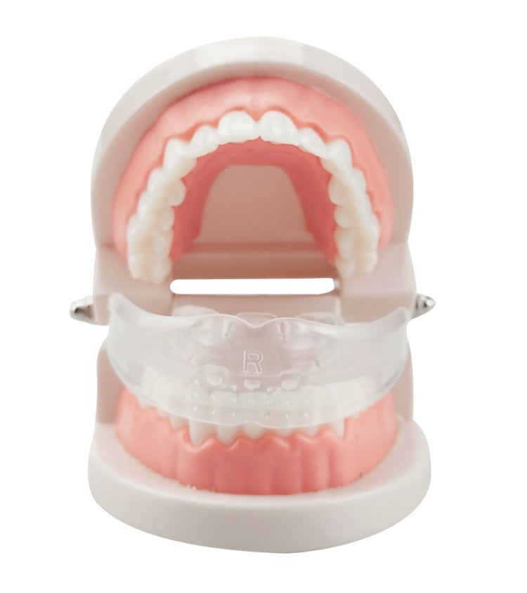 Orthodontic Appliance Silicone Simulation Braces Anti-molar Braces for Night(The second stage) - Dental Tools by PMC TechLife | Online Shopping South Africa | PMC TechLife