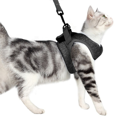 Cat Leash Pet Chest Harness Leash, Size: S(Grey) - Leashes by PMC Jewellery | Online Shopping South Africa | PMC Jewellery