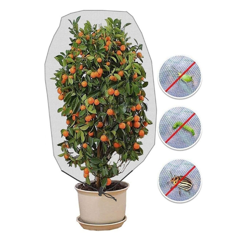 Plant Insect Cover Net With Drawstring Greenhouse Fruit Tree Bird Cover, Size: 1x1.5m(White) - Garden Netting by PMC TechLife | Online Shopping South Africa | PMC TechLife | Buy Now Pay Later Mobicred