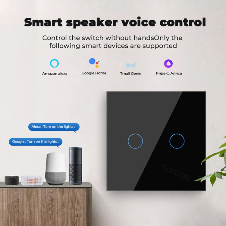 Tuya ZigBee Zero Firewire Touch Wall Remote Control Switch Light Control Voice Switch EU Plug, Style: 2 Gang (Black) - Smart Switch by PMC TechLife | Online Shopping South Africa | PMC TechLife